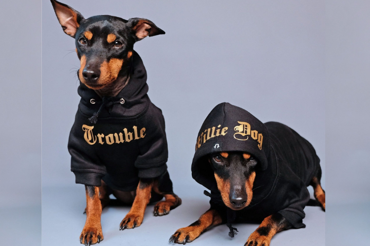 print-on-demand-dogs-hoodies