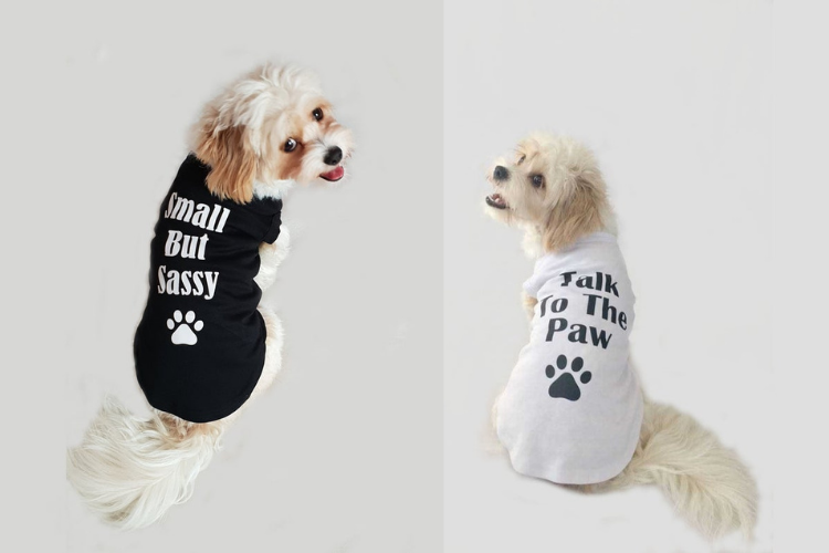 Print on store demand dog clothing