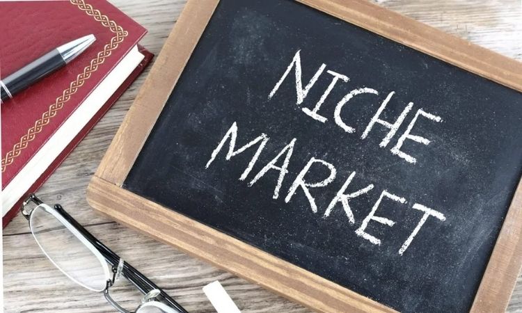 How to find print on demand niches to run a success business