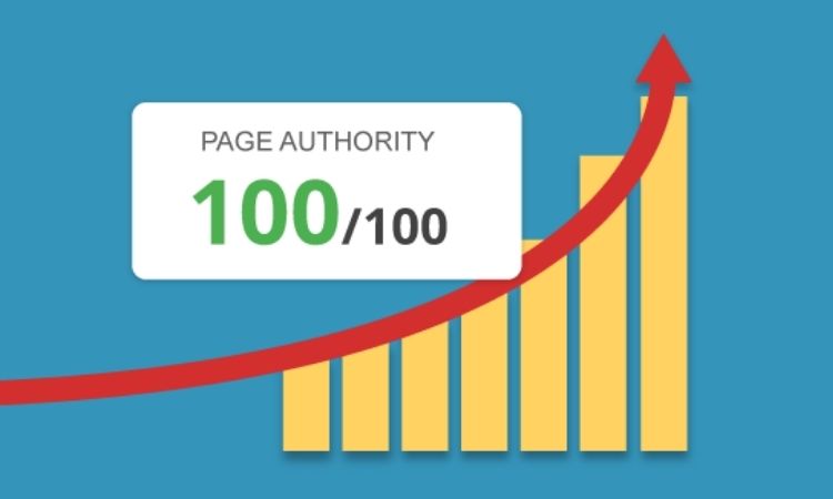 Domain Authority (DA) and Page Authority (PA)