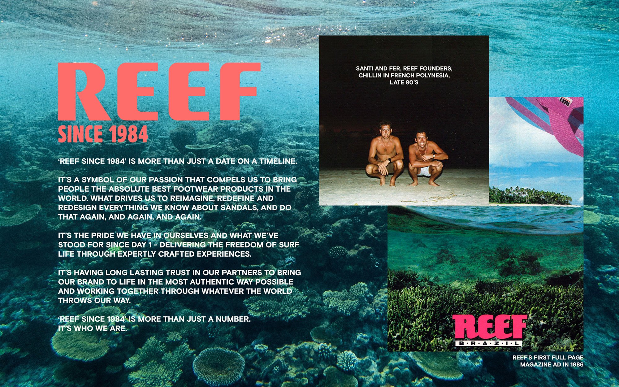 REEF Google Shopping Ads Case Study