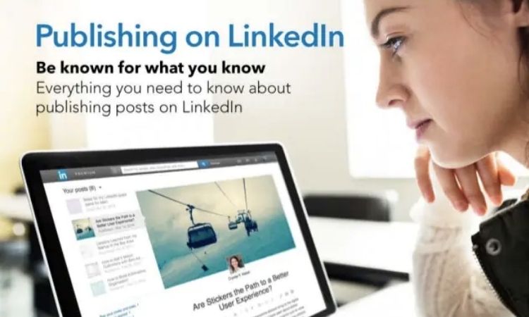 LinkedIn publishment