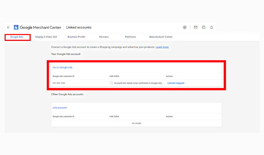 link-with-google-ads-account-2